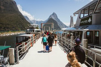 Milford Sound, 2-stündige kleine Bootsfahrerkreuzfahrt - Housity