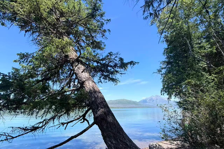 From Seattle: 3-Day Glacier National Park Tour with Guide