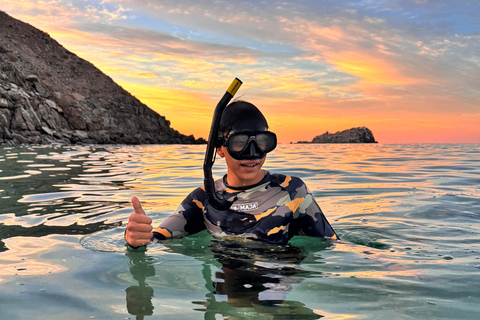 La Paz: Espíritu Santo Sea Lion Snorkel with Starlink Wi-Fi Without Pick Up and Drop Off