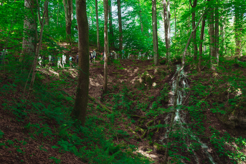 Zadar : Visite guidée des lacs de Plitvice avec billets