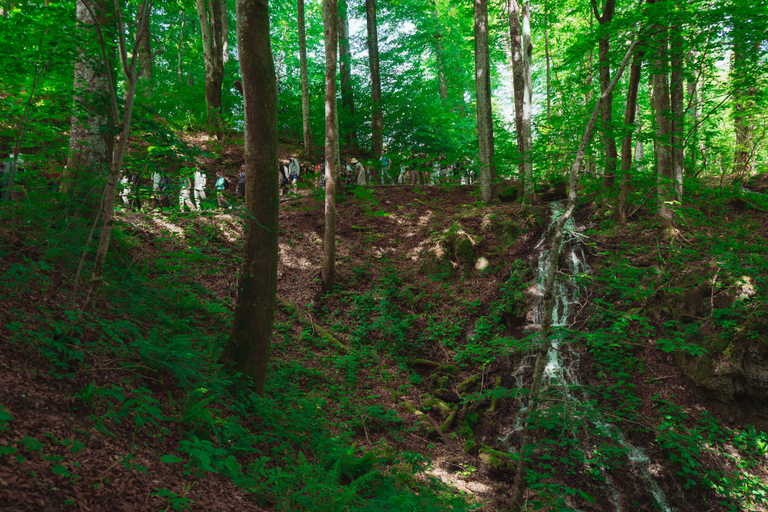 Zadar : Visite guidée des lacs de Plitvice avec billets