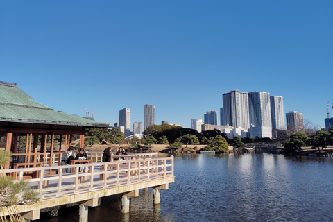 Tokio: Kiyosumi, Hama-Rikyu en Kyu-Yasuda Tuin Tour