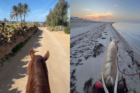 Djerba: Horseback Riding Adventure with Transfer