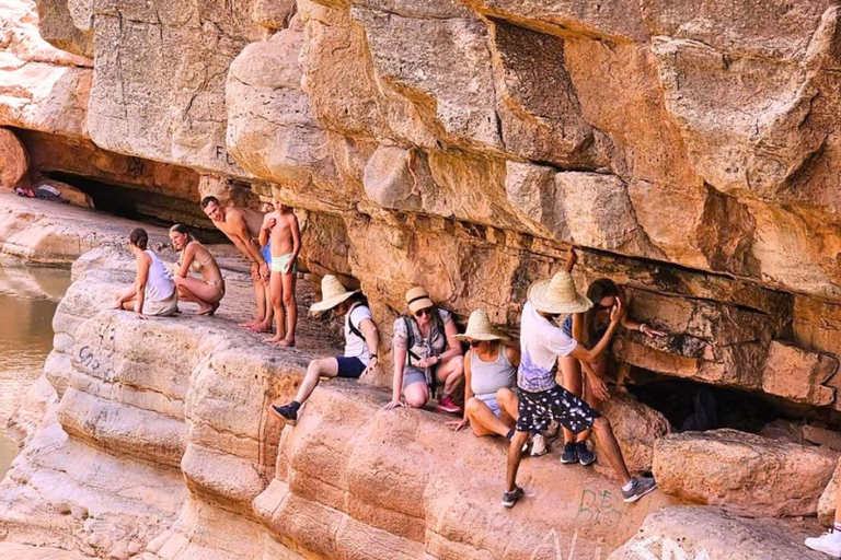 From Agadir/Taghazout: Paradise Valley Guided Tour with Hike