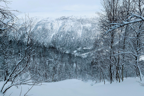 Tromsø Street to Wilderness: Guided Snowshoe Hike