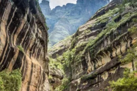 Excursión de un día completo a las montañas Drakensberg y senderismo desde Durban