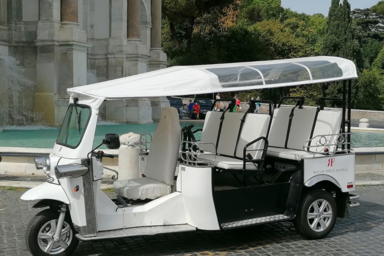 Rome: privé stadstour per elektrische tuktuk met transfer