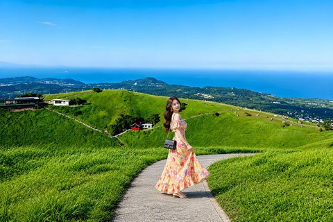 Small Group Day Tour:Omuro Mountain & the Izu Scenic Railway Hotel Transfer Option