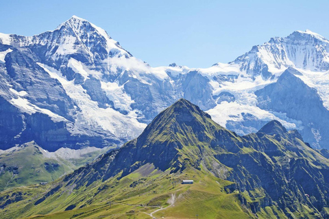 Depuis Zurich : Visite guidée de la Jungfraujoch avec le train à crémaillère