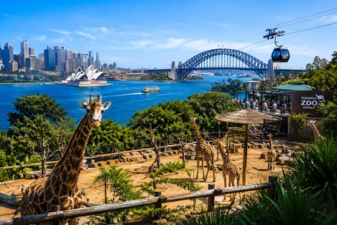 Sydney: Taronga Zoo Entry Ticket with Keeper Talks