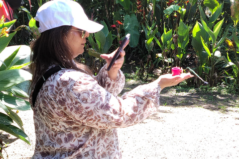 Quito: Waterfall, Hummingbirds, Butterfly Tour, Equator line