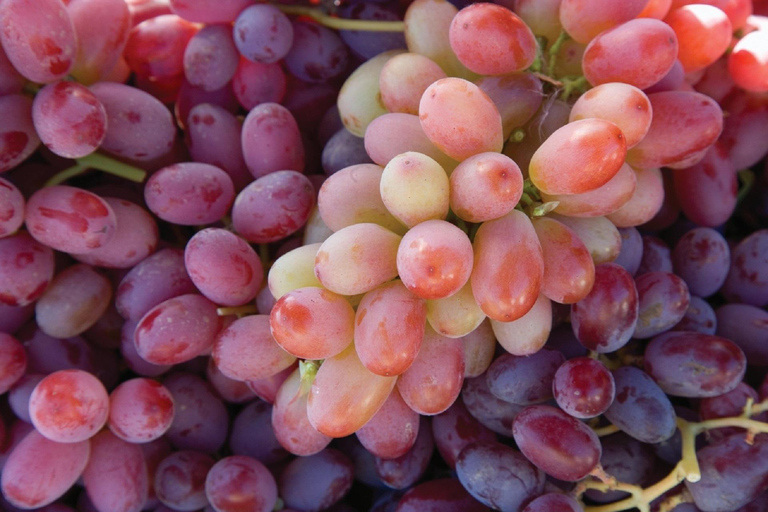 Tour particular de degustação de vinhos em Lodi Personalizado para grupos de 1 a 14 pessoas