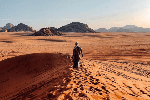 Désert du Wadi Rum : visite d&#039;une demi-journée en jeep (matin ou coucher de soleil)