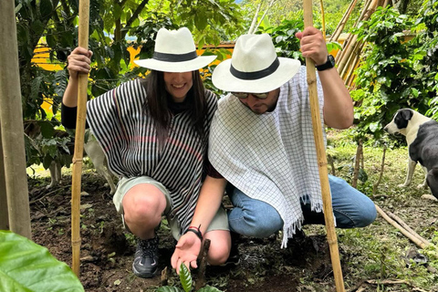 Bogotá: Choachí Farm-to-Cup Coffee Day Trip with Cupping
