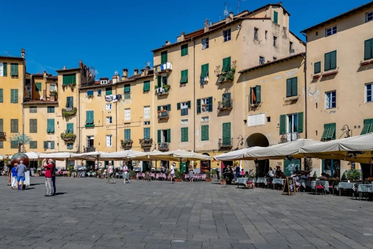 Private Pisa & Lucca Tour from Florence