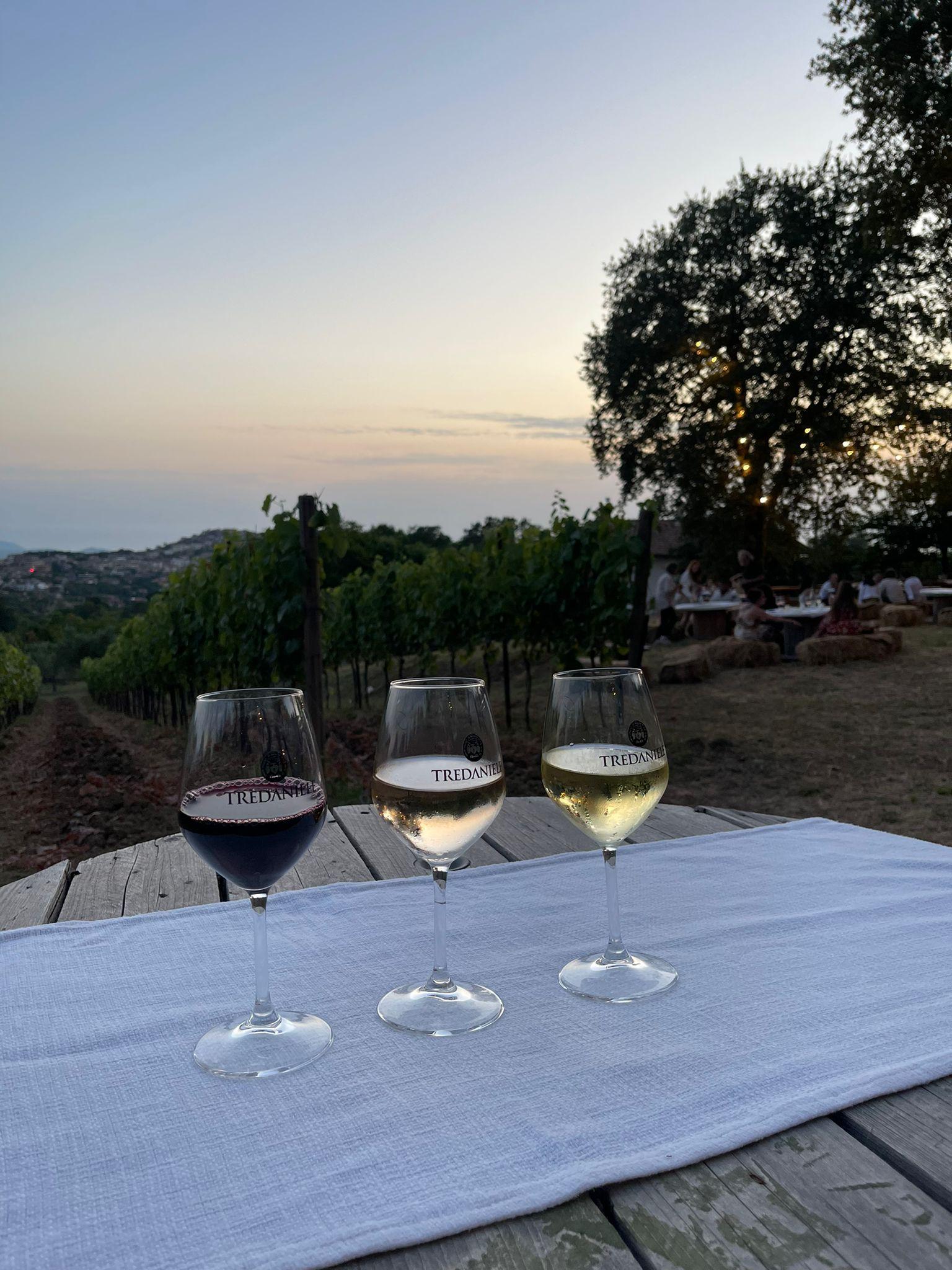 Besuche ein Dorf mit dem E-Bike und probiere den hervorragenden Wein