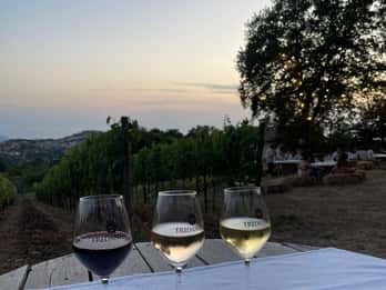 Visit a village by e-bike and taste the excellent wine