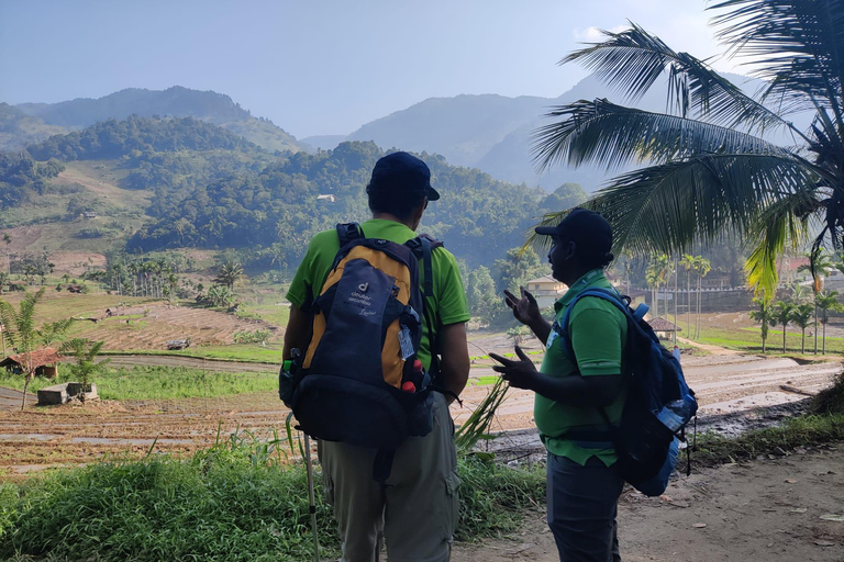 Kandy: Knuckles Mountain Range Guided Trekking Tour