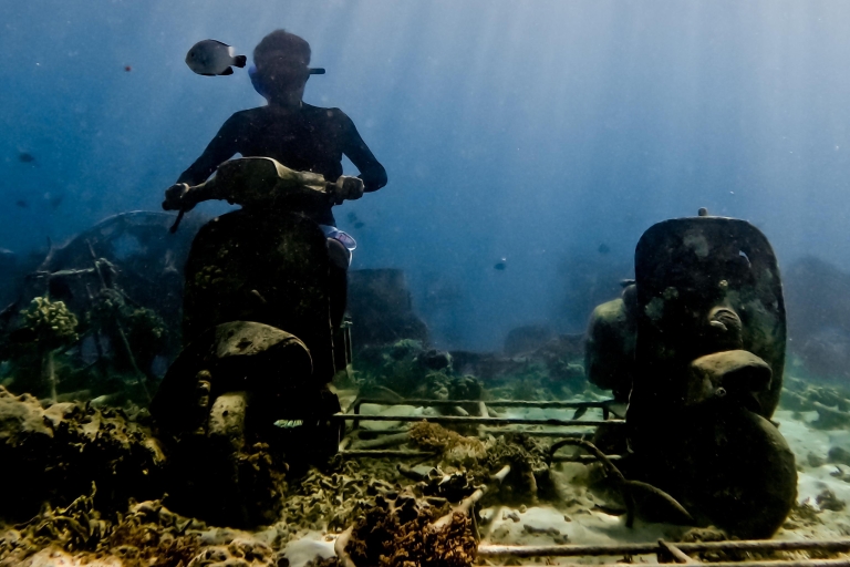 Privé snorkelen met schildpad en romantisch standbeeld