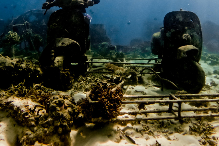 Mergulho particular com snorkel com tartaruga e estátua romântica