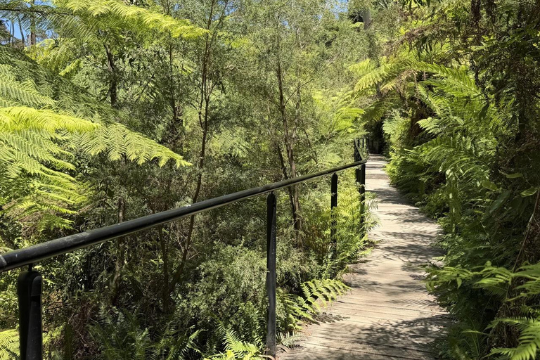 Blue Mountains Tour, Katoomba Falls & Cockatoos Small Group Blue Mountains ：Small Group + Cockatoos & Katoomba Falls&Ja