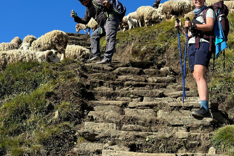 Kathmandu: 9-Day Mardi Himal Base Camp Trek