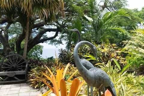 St. Kitts No Hustle No Hassle Private Tour with Don