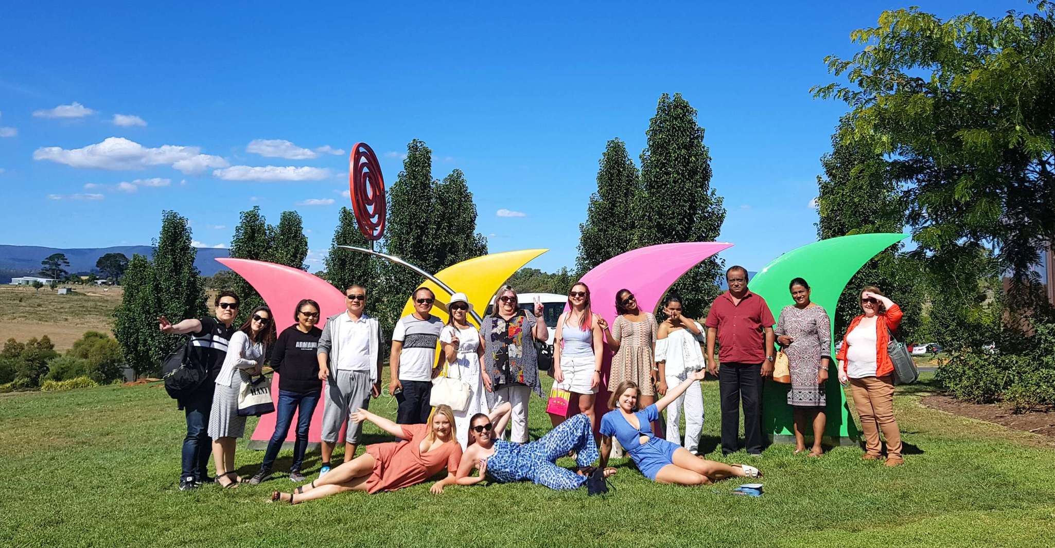 Melbourne: Yarra Valley Wine Tour + Lunch & Gin/Beer Option photo 12