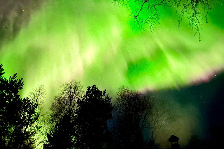 Rovaniemi: Aurora Hunting &amp; Photography Tour