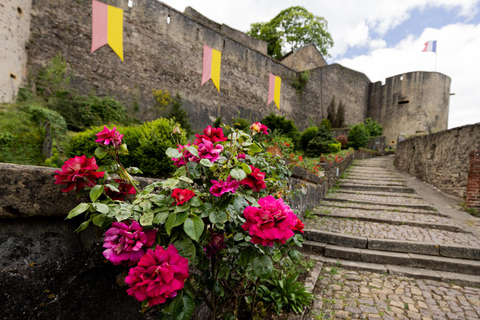 Luxembourg: Private Day Trip to Metz, Sierck & Schengen