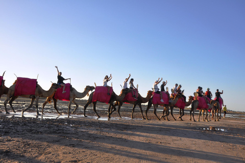 Djerba : Balade à dos de chameau à la lagune bleue au coucher du soleil