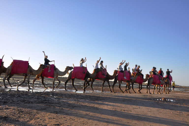 Djerba: Giro in cammello verso la Laguna Blu al tramonto