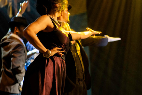 Buenos Aires: Mansion Tango spectacular Show & Dinner Mansion Tango spectacular Show & Dinner experience.