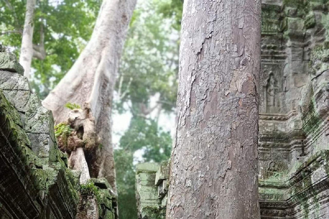 Siem Reap Unfoggetable Temple Tour 2-dniowa wycieczka ze wschodem/zachodem słońcaWspólna wycieczka