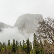 From San Francisco: Yosemite Park Guided Day Trip