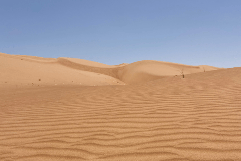 Muscat: Wahiba Sands Desert &amp; Wadi Bani Khalid Full Day TourMuscat:Wahiba Sands and Wadi Bani Khalid - Full Day Tour