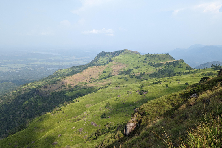 Da Kandy: escursione alle cime gemelle di Kanawiddagala e YahangalaDa Kandy: escursione alle due cime gemelle di Kanawiddagala e Yahangala