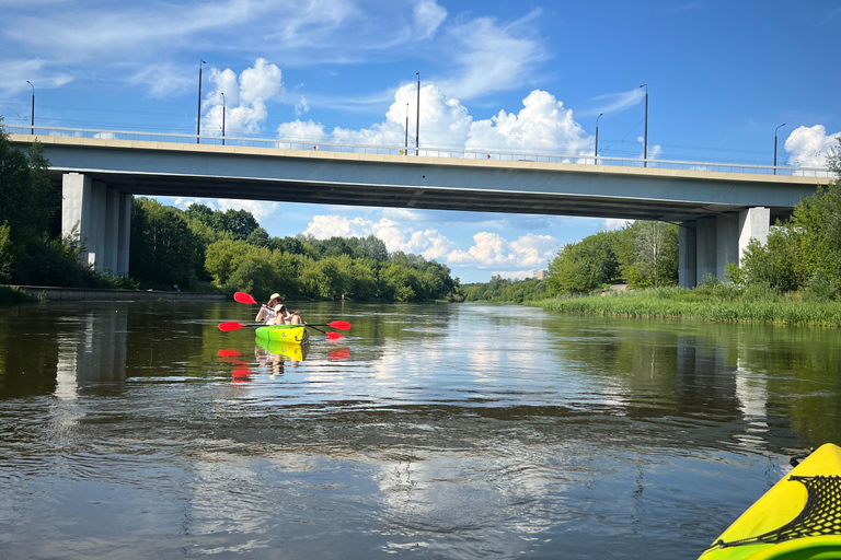 Vilnius: Night Kayak Tour on the Neris River
