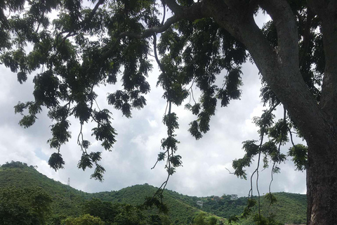 Guida personale allo Starbuk&#039;s Banawa, Cebu City