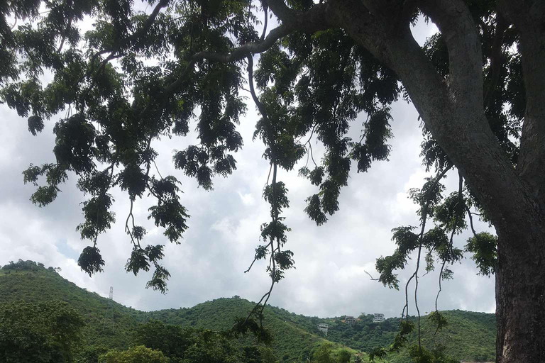 Personlig guide till Starbuk&#039;s Banawa, Cebu City