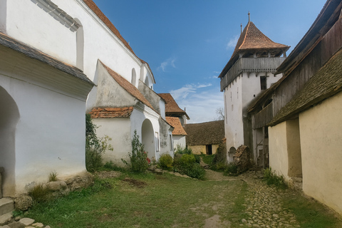 Brașov: Sighișoara, Biertan & Viscri UNESCO Tour