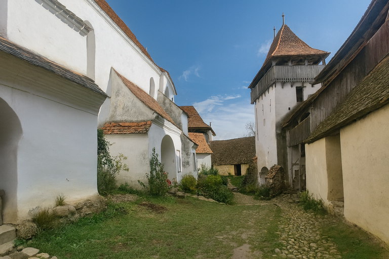 Brașov: Sighișoara, Biertan & Viscri UNESCO Tour