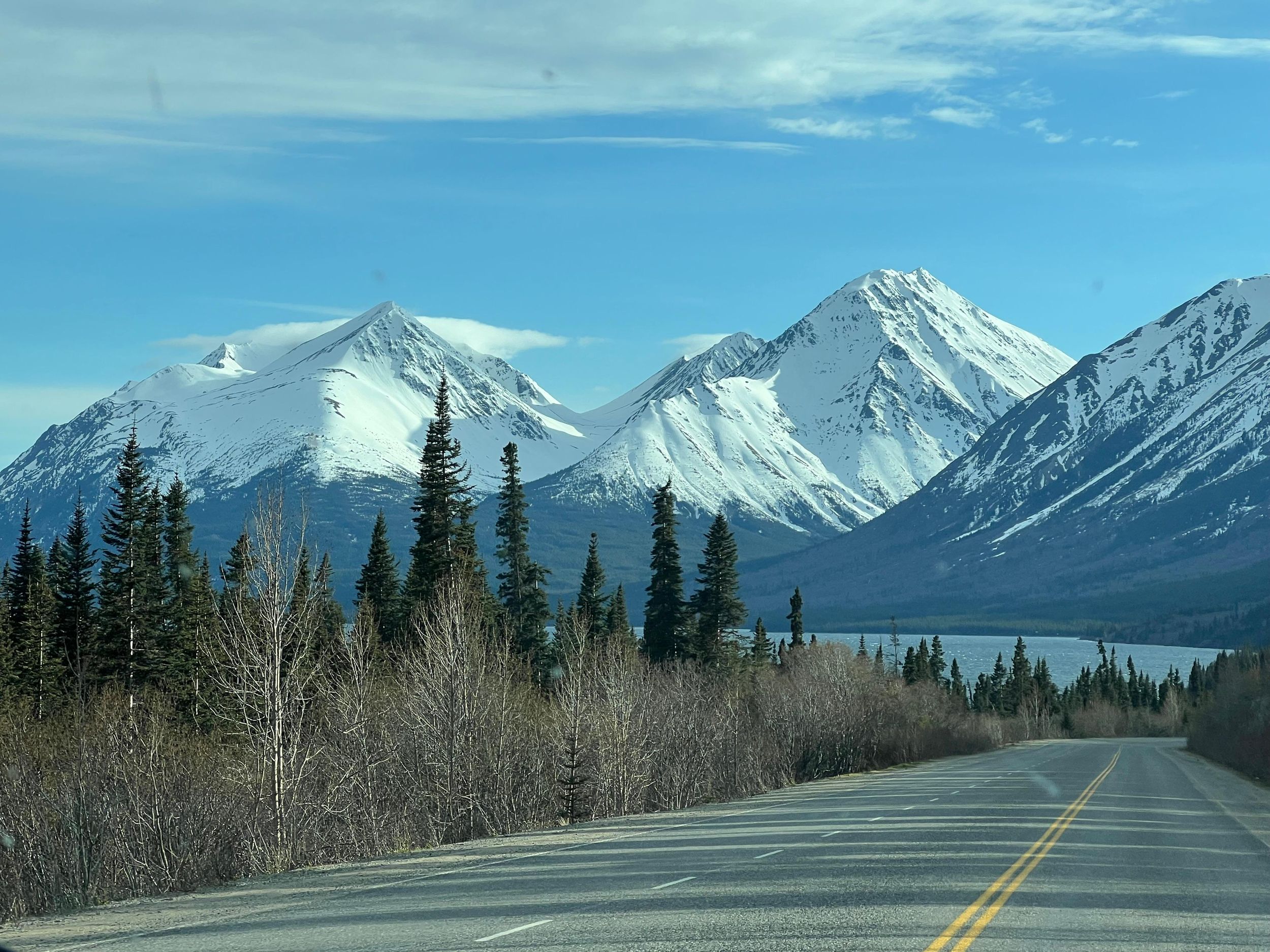 Skagway: Yukon-Entdeckungstour