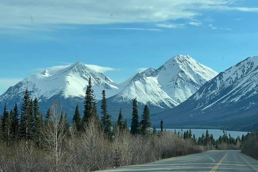 Skagway: Yukon-Entdeckungstour. Foto: GetYourGuide Skagway: Yukon-Entdeckungstour. Foto: GetYourGuide