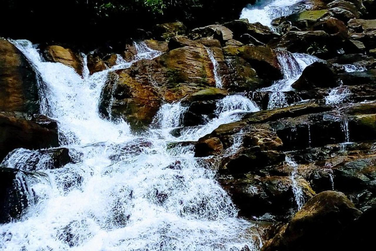 From Colombo: Kanneliya Rainforest Waterfalls Tour with Swim
