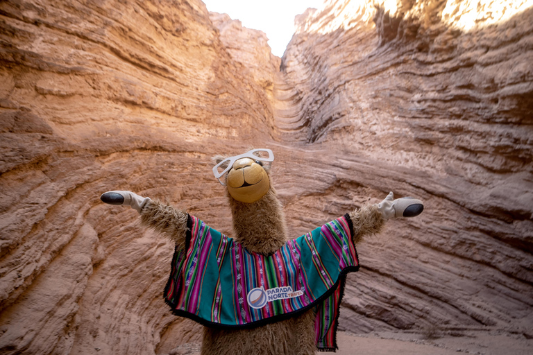 Cafayate: Tour de dia completo por bodegas y degustacion de vinos