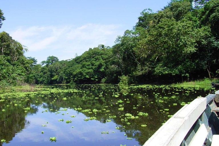 EXCURSIÓN DEL MONO 2D/1N
