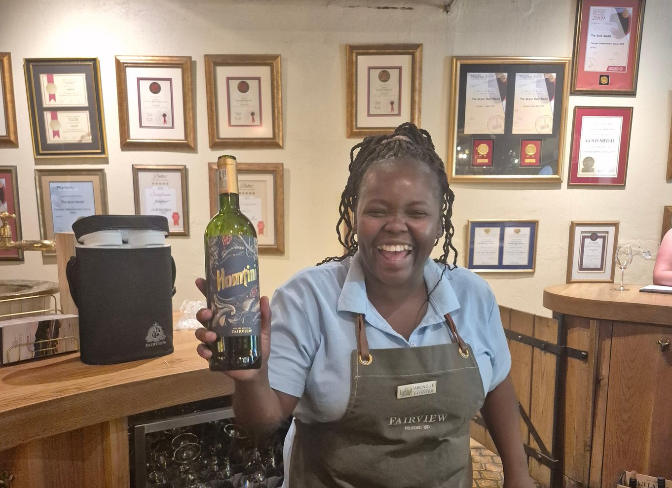Vineyard Tour: Vin- og ostesmagning og vandretur i Franschhoek