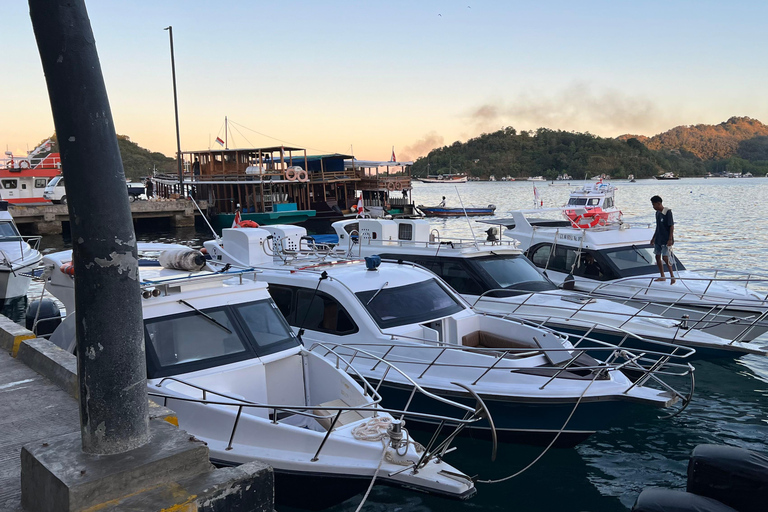 Visit the Main Attractions of Komodo National Park