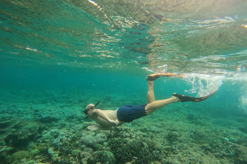 Labuan Bajo: Komodo Tour by Speedboat & Wooden Boat